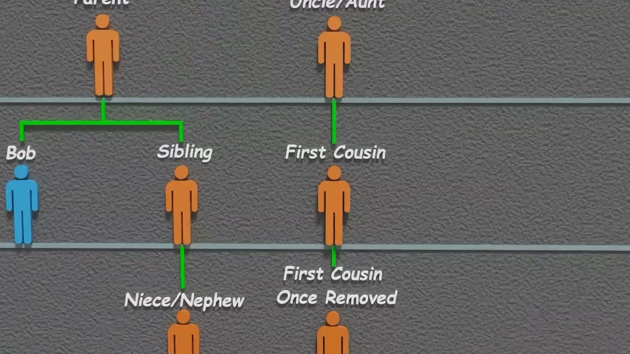 Discover your family connections easily