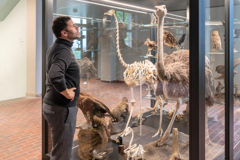 «Über meinen Job entscheiden Ahnungslose»