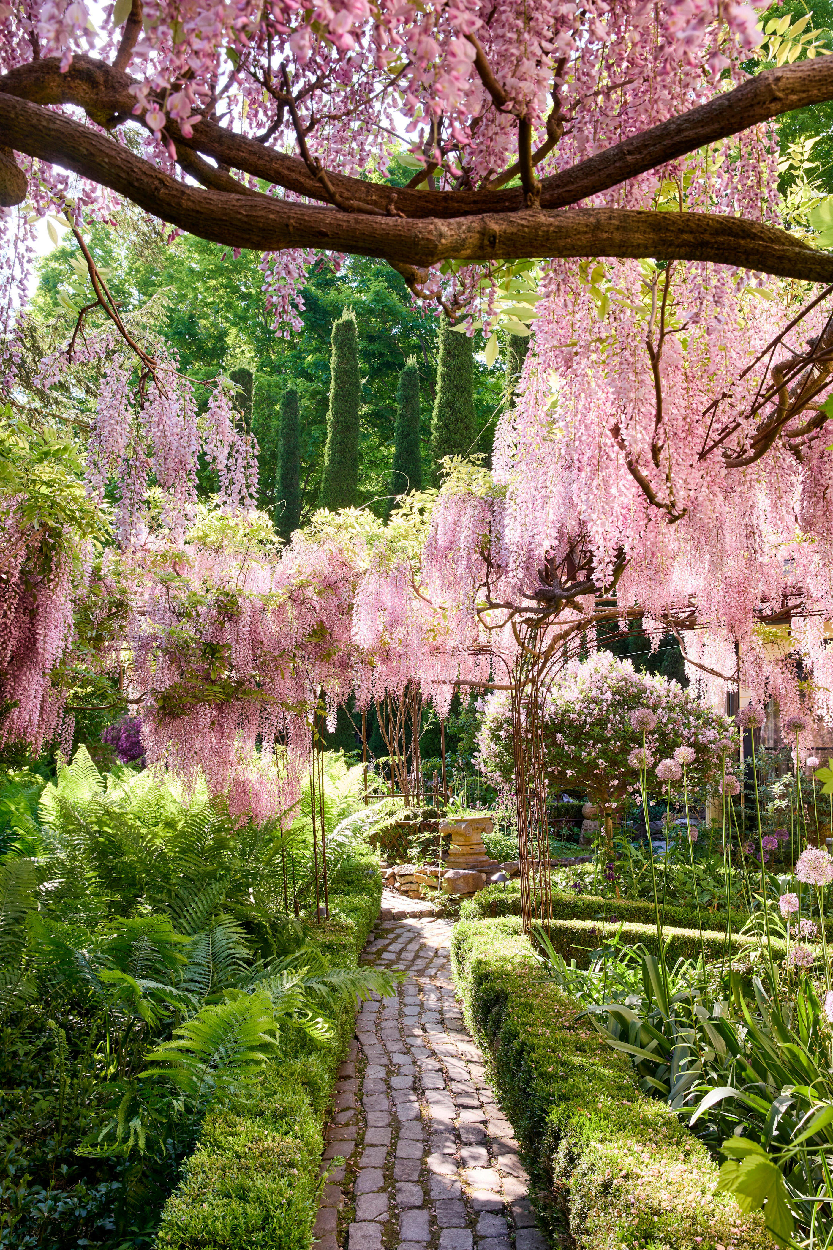 These 28 flowering vines will add instant charm and color to your garden