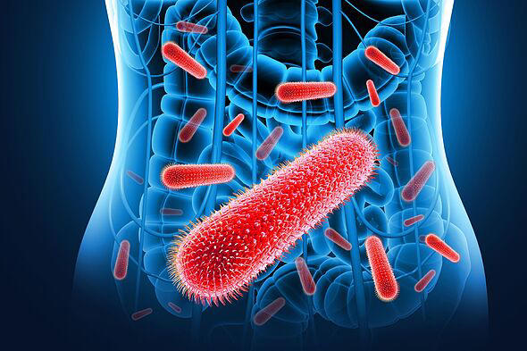 Sexually transmitted diarrhoea is on the rise and spreading rapidly in ...