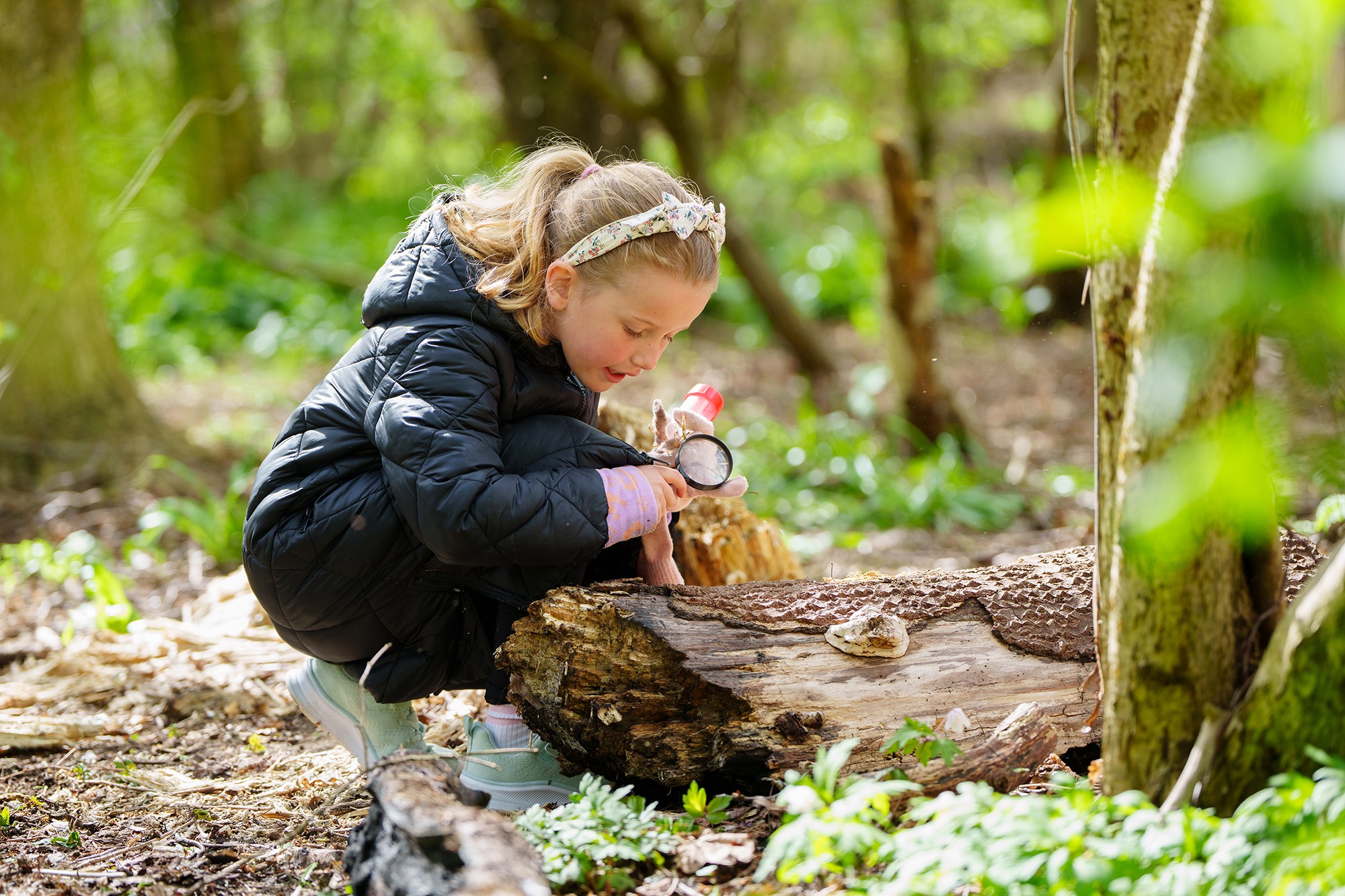 Young nature detectives invited to free minibeast hunt