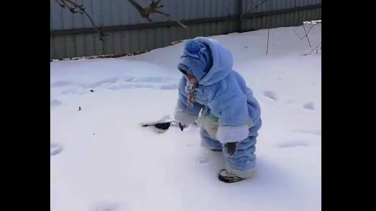 Monkey in costume celebrates joyful moment in first snowfall
