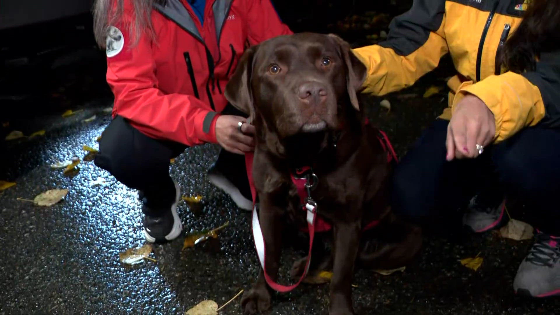 Seattle Mountain Rescue's new command vehicle and Ruffles, the crisis ...