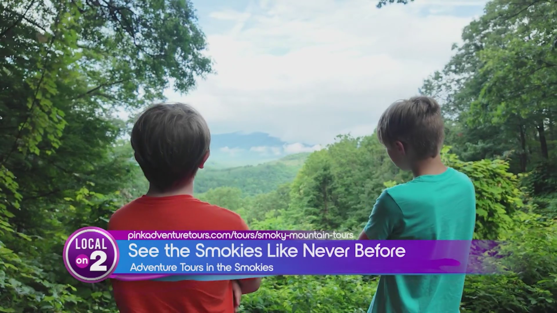 Pink Jeep Tours: Discover the Great Smoky Mountains
