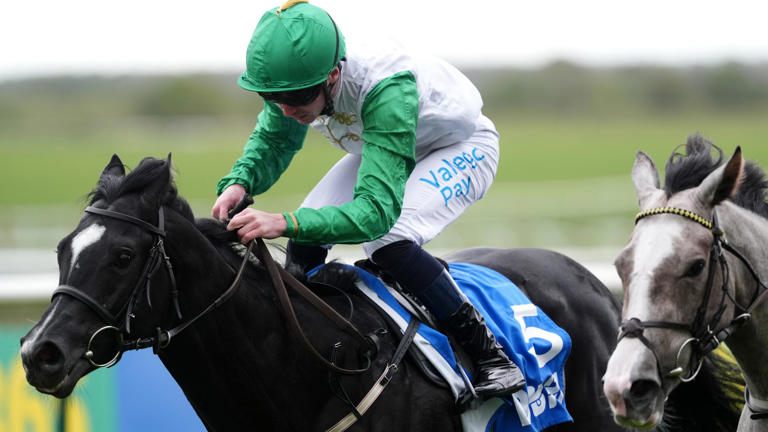 Mussab enters Breeders’ Cup picture with Cornwallis win