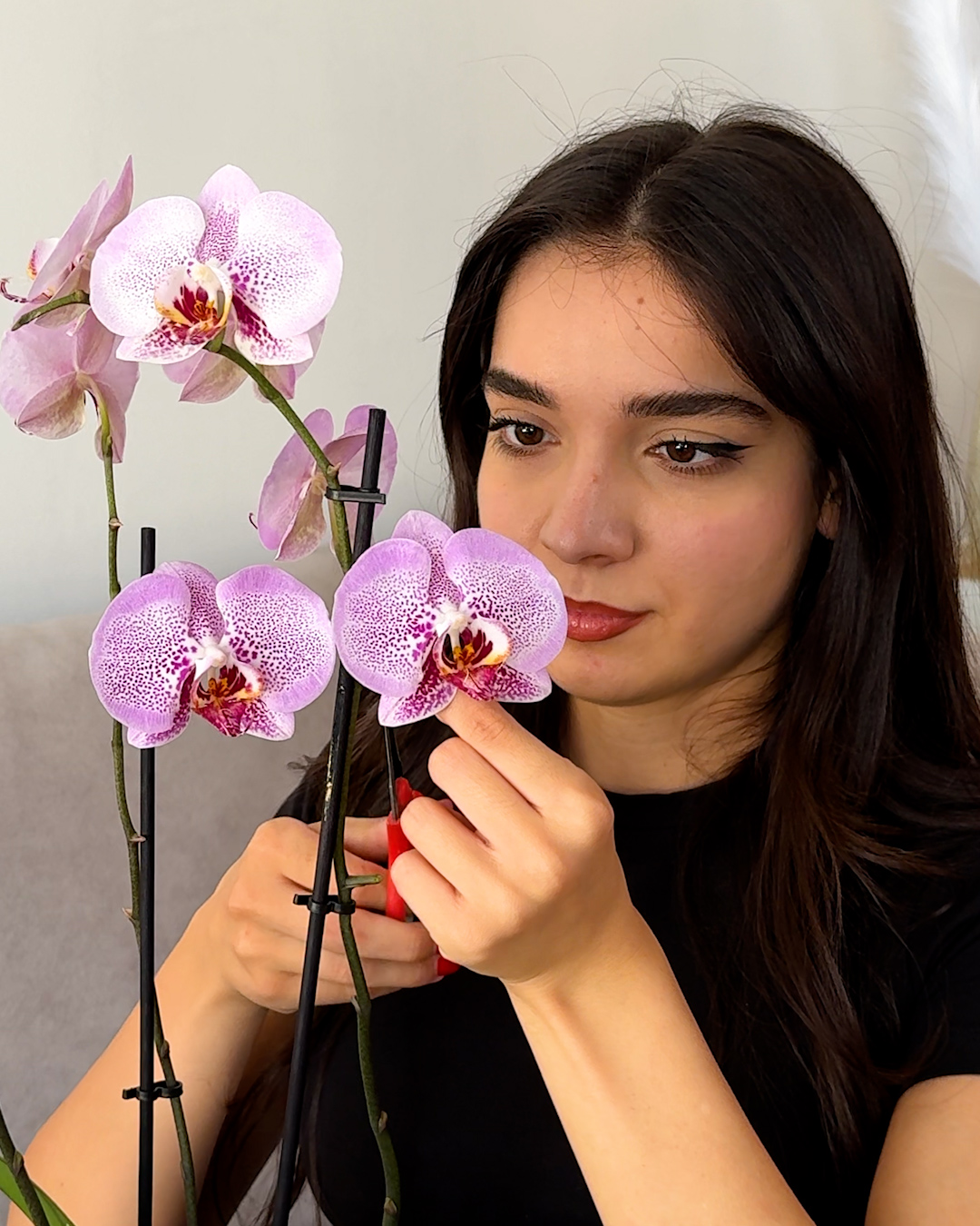 Turn your favorite orchid into earrings! 😯😍