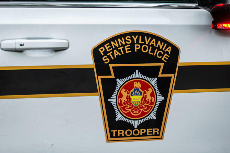 Pa. State Police blocked nearly 3,800 gun purchases after background checks