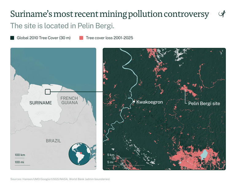Lawmakers in Suriname call for investigation, stricter oversight amid ...