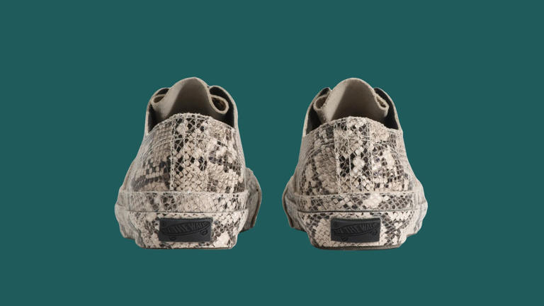 Vans’ easy-going authentic goes wild with its striking new look