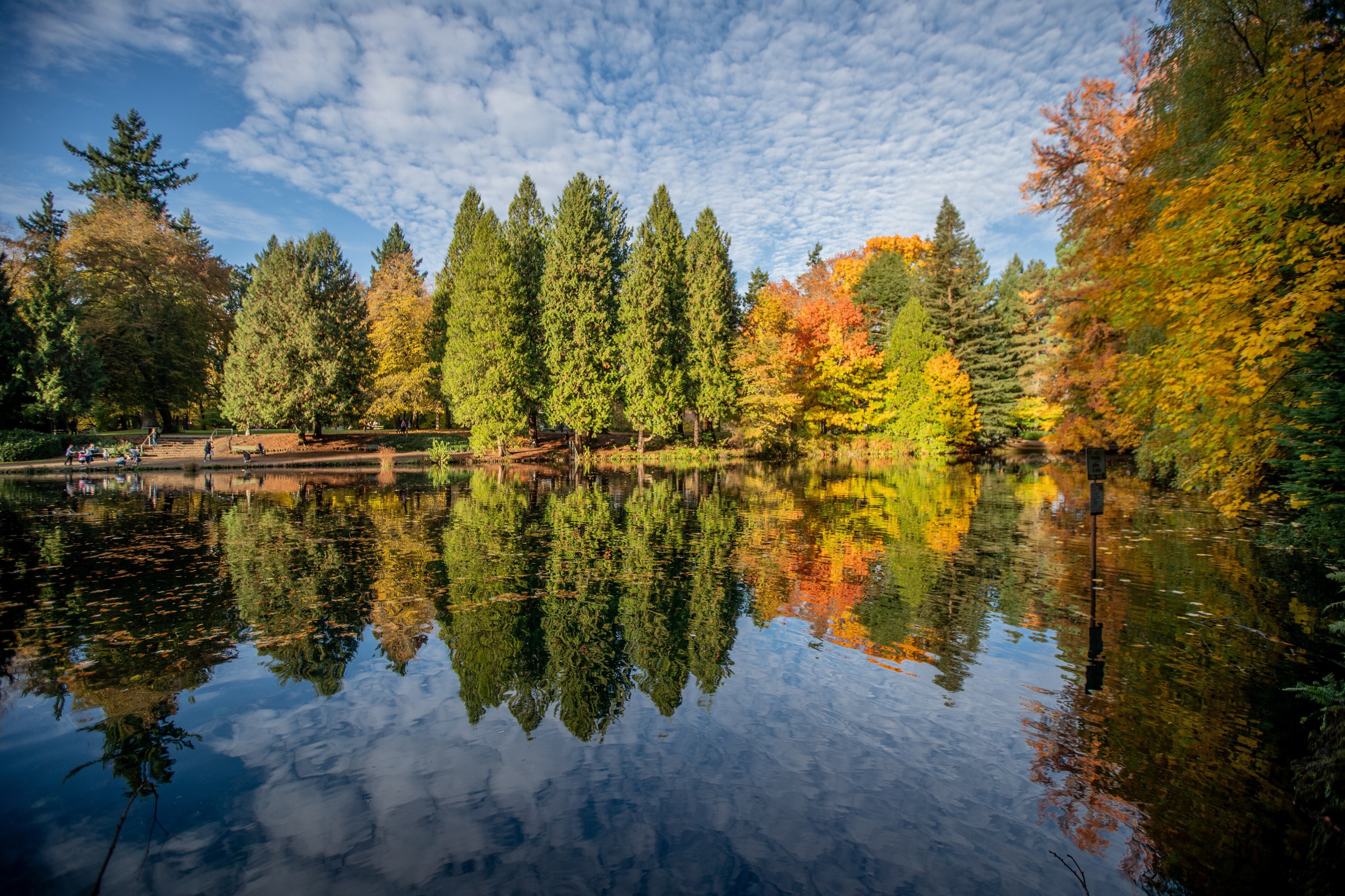 When is the best time to see fall foliage in Oregon? Check our ...