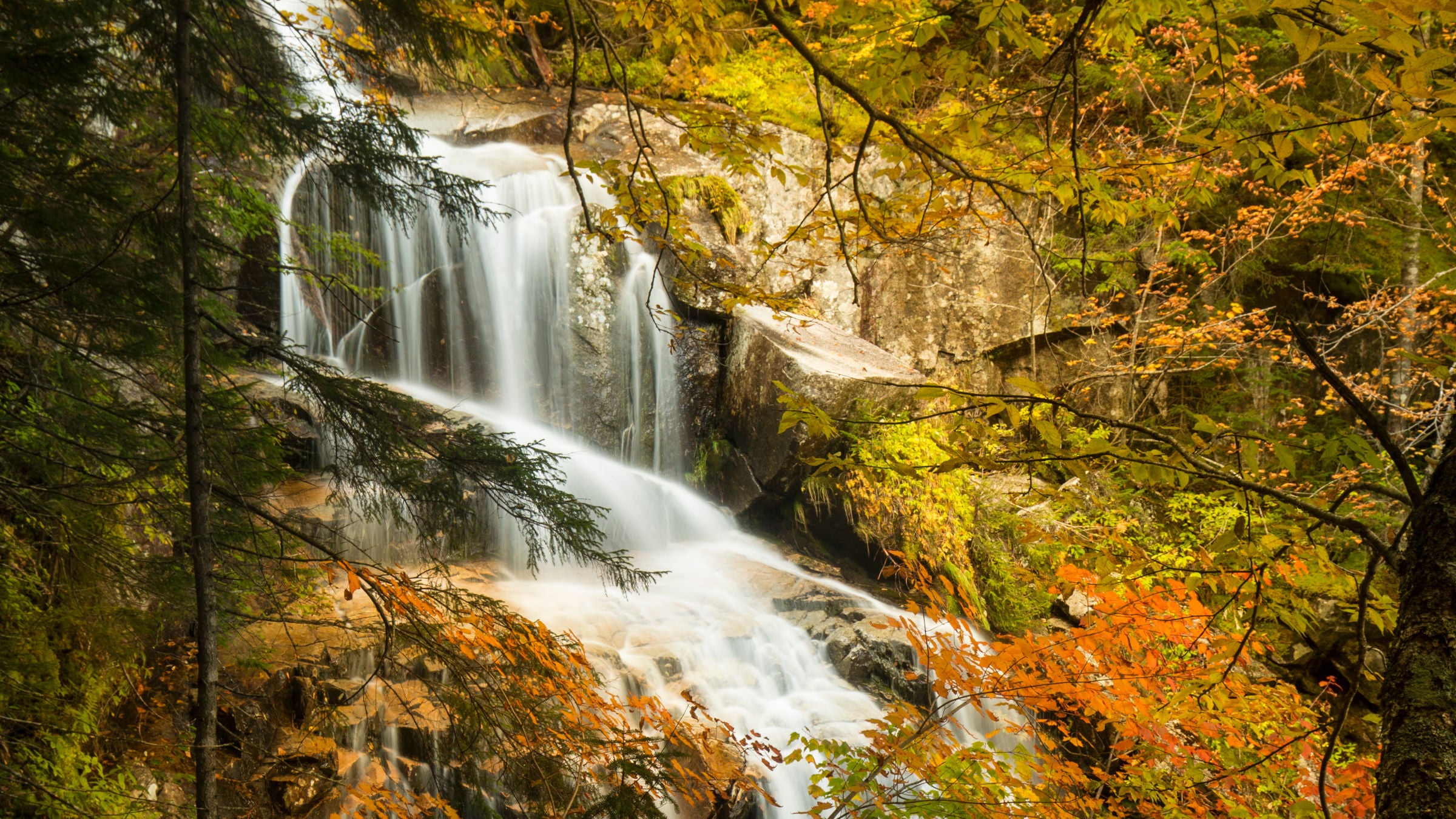 This newly rebuilt New Hampshire trail is prime for fall foliage hiking right now