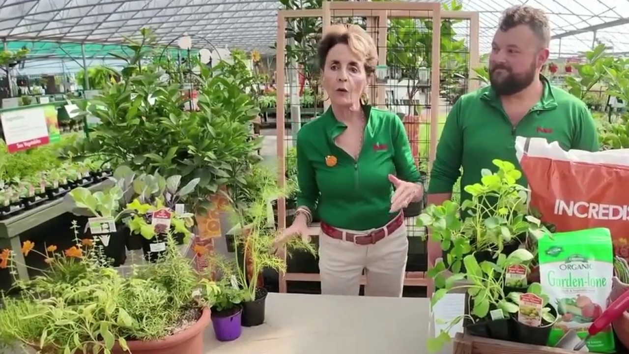 Pike Nursery: Family vegetable gardening