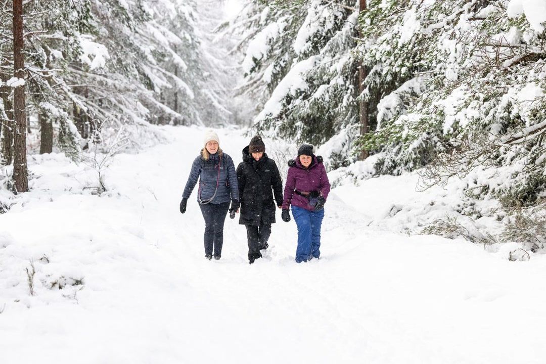Met Office weather maps show exact time and place UK set for snow this ...