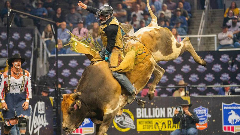 NFR preview: Meet the 4 rookie bull riders heading to the Thomas & Mack ...