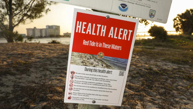 Florida red tide organisms detected at low levels in Gulf Coast samples