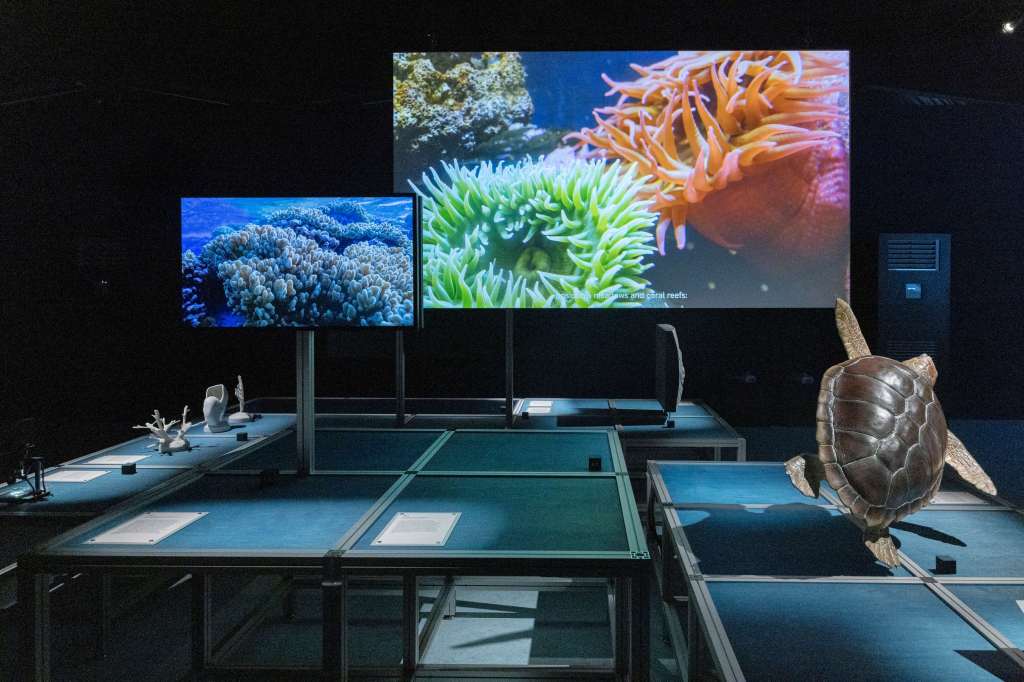 Prada Group, UNESCO-IOC Sea Beyond exhibit bows at Luna Rossa base
