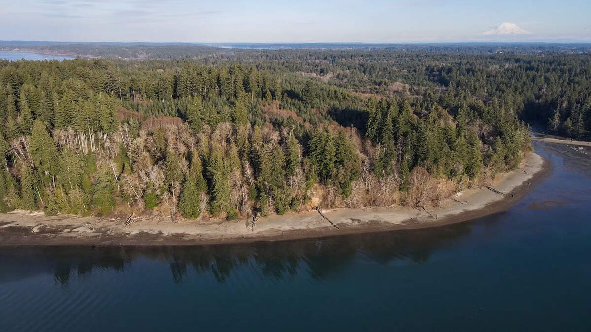 $5 million plan protects Olympia-area forest, shoreline and rare cove