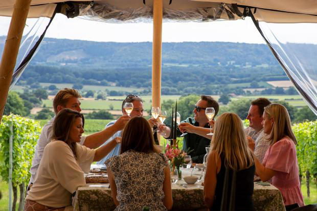 Vineyard's visitor building plans attracts objections