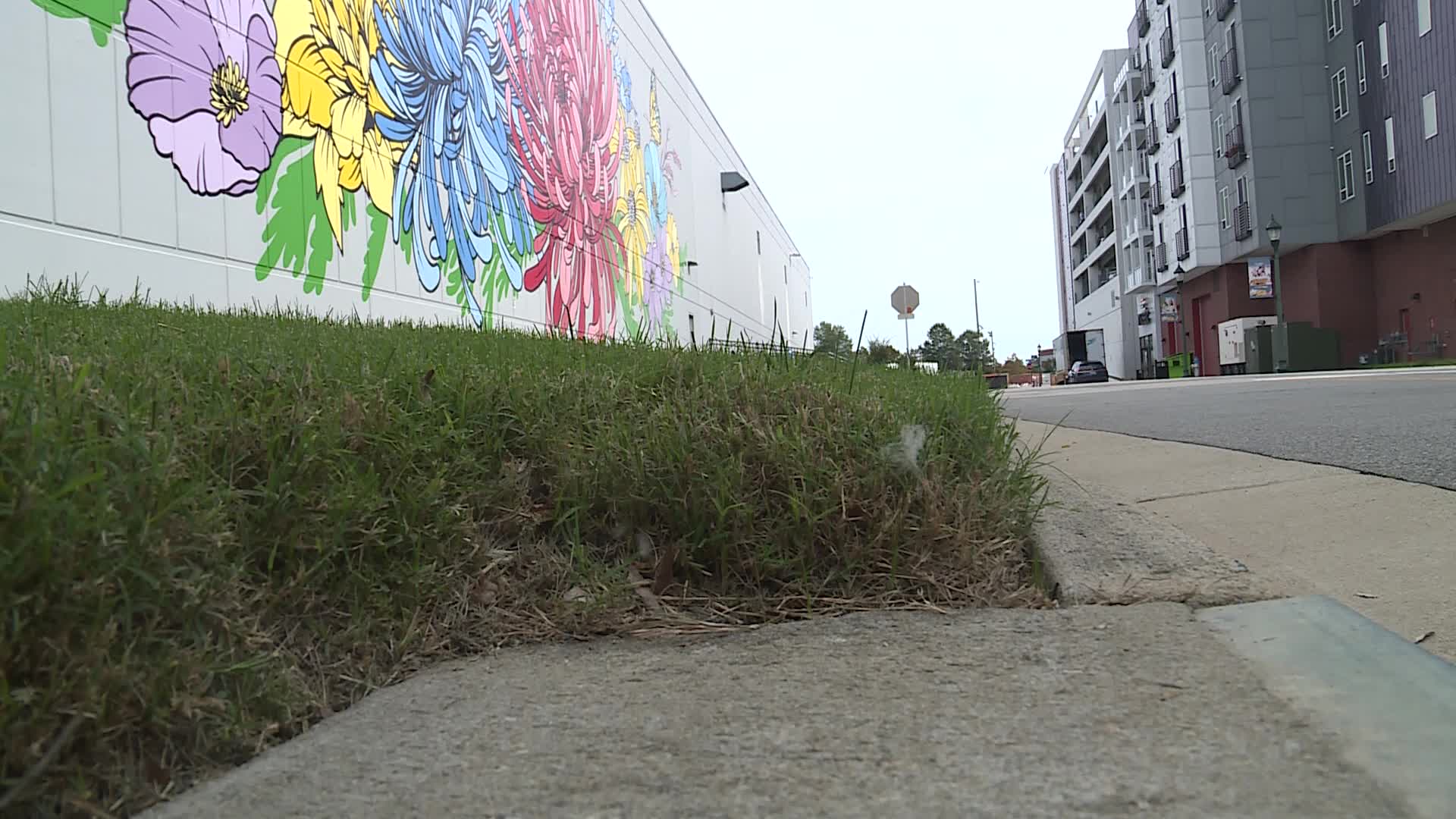 Interview with woman seriously injured in Chesapeake random attack
