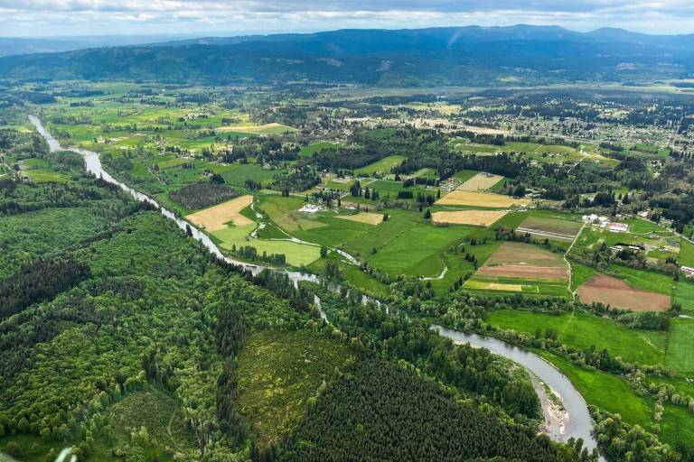 Chehalis Tribe’s fishing permits more nuanced than WDFW’s recent ...