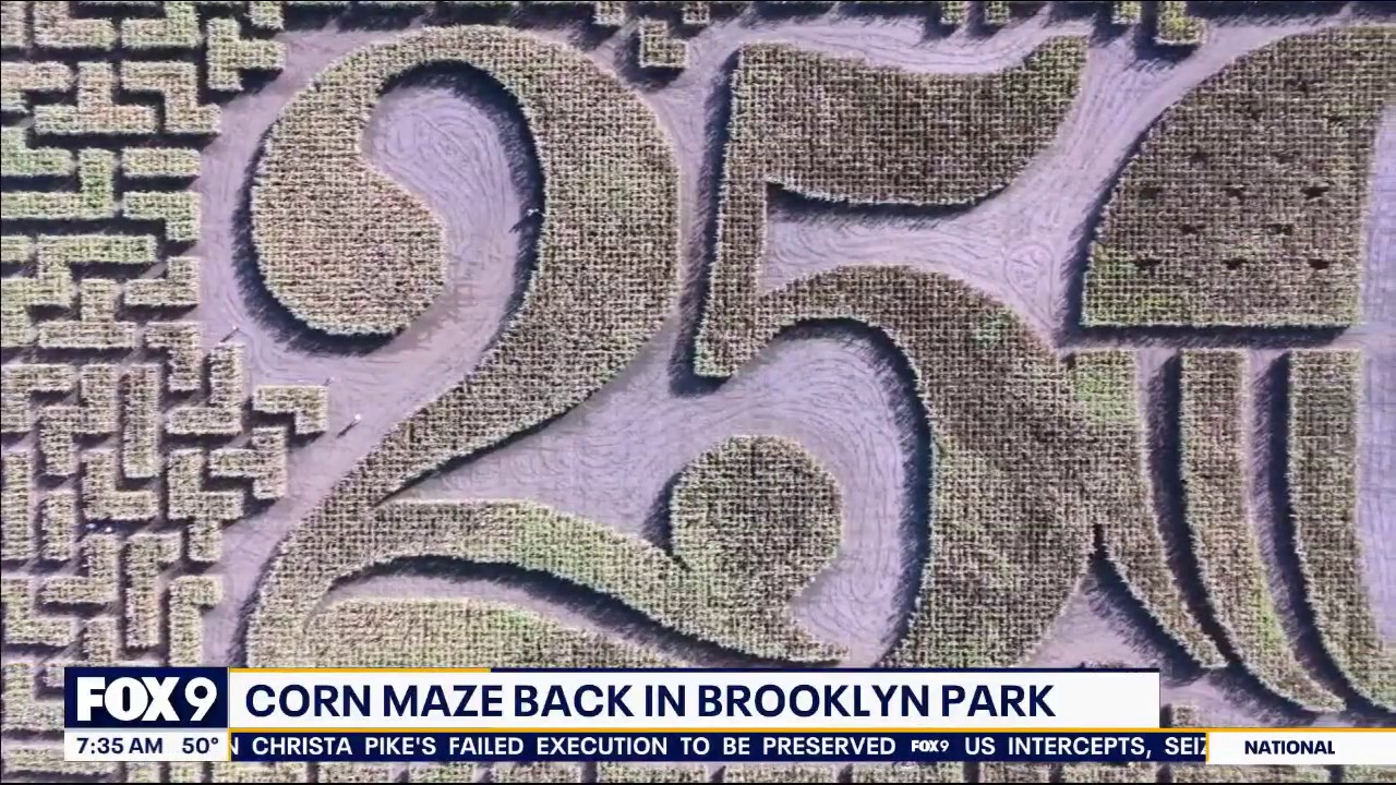 After a forced move, the corn maze is back in Brooklyn Park