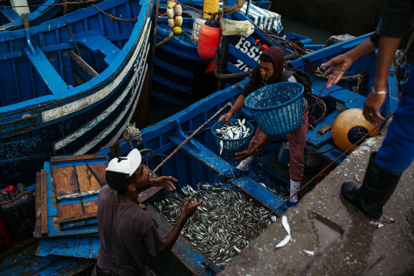 The hidden cost of farmed fish: Pollution, forced labor and the ...