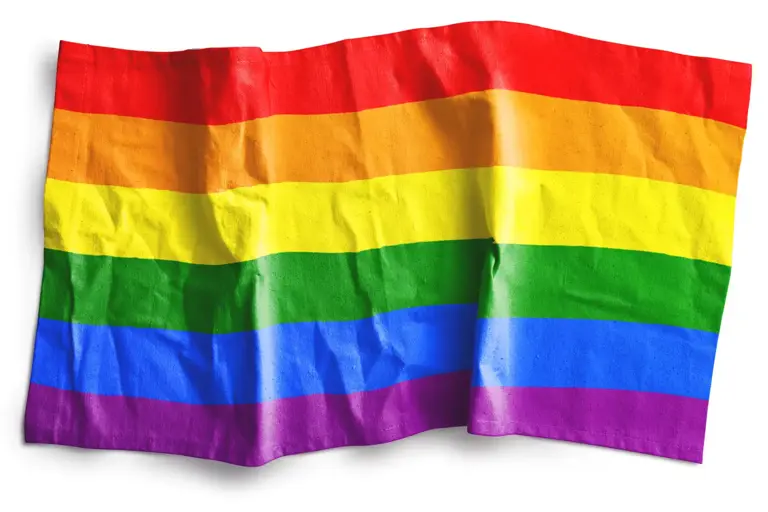 25 LGBTQ+ Pride Flags & Their Meanings