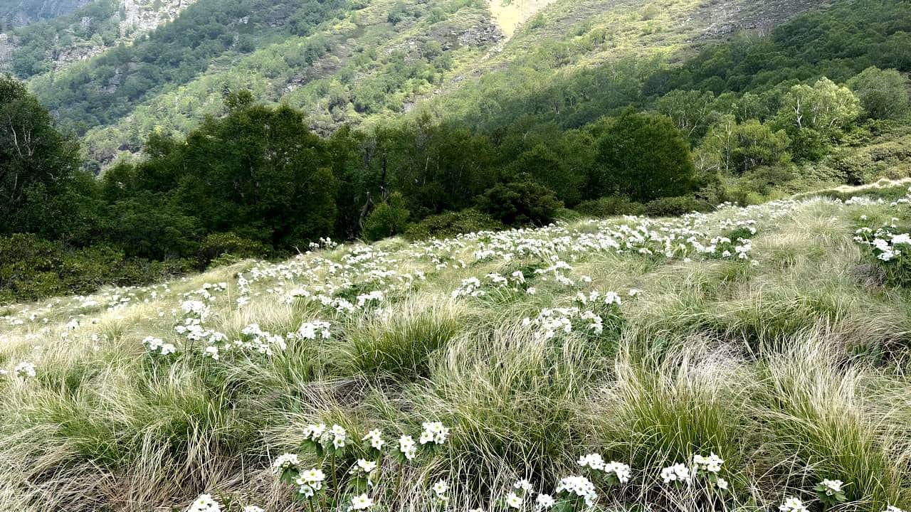 Nanda Devi reserve sees near doubling of landslide zones, new glacial ...