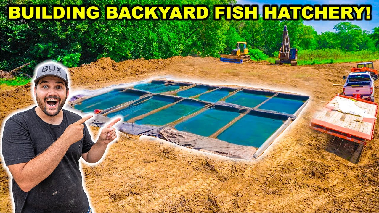 I turned my backyard into a mini fish farm