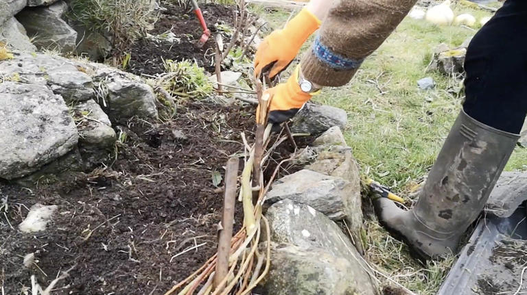 Woven willow edging gives mulched flower beds a cottage-garden border