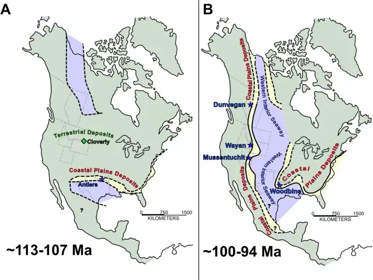 Scientists found a strange chemical signal in dinosaur teeth, and the ...