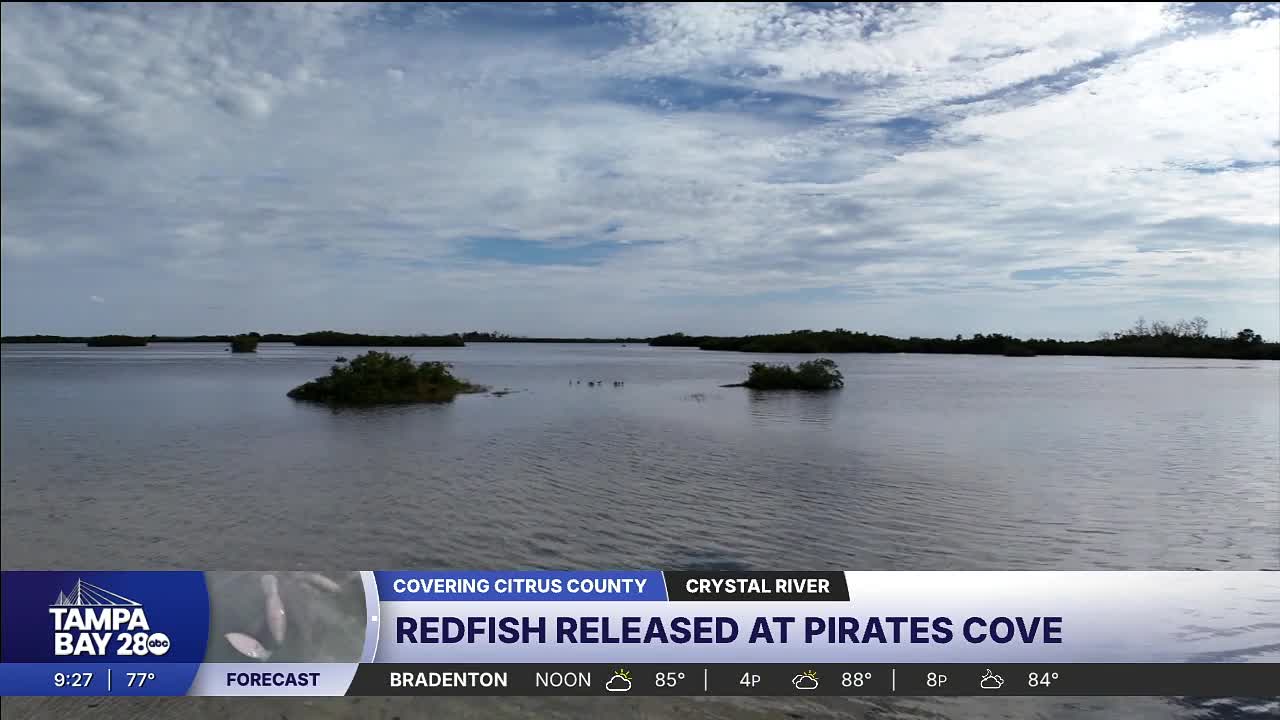 Tagged redfish program aims to reel more anglers into Citrus County