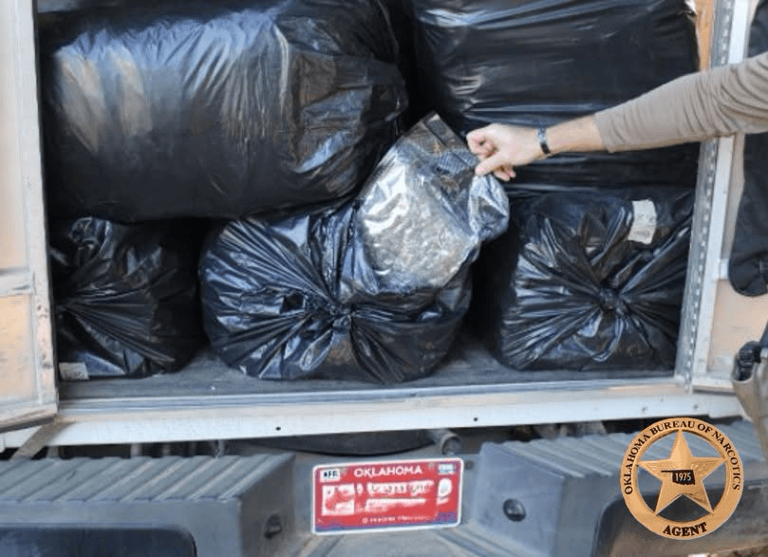 OBN disrupts ongoing black market marijuana trafficking enterprise, 3 ...