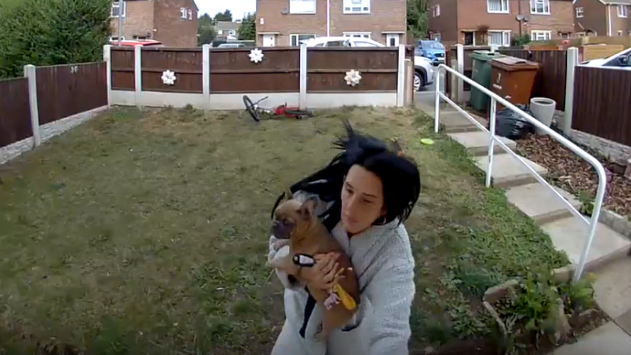Girl drops to ground with dog in sudden entrance fall