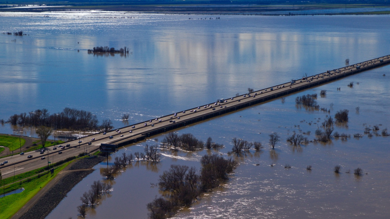 Levee setback boosts salmon food: Move widens Yolo floodplain; fields ...