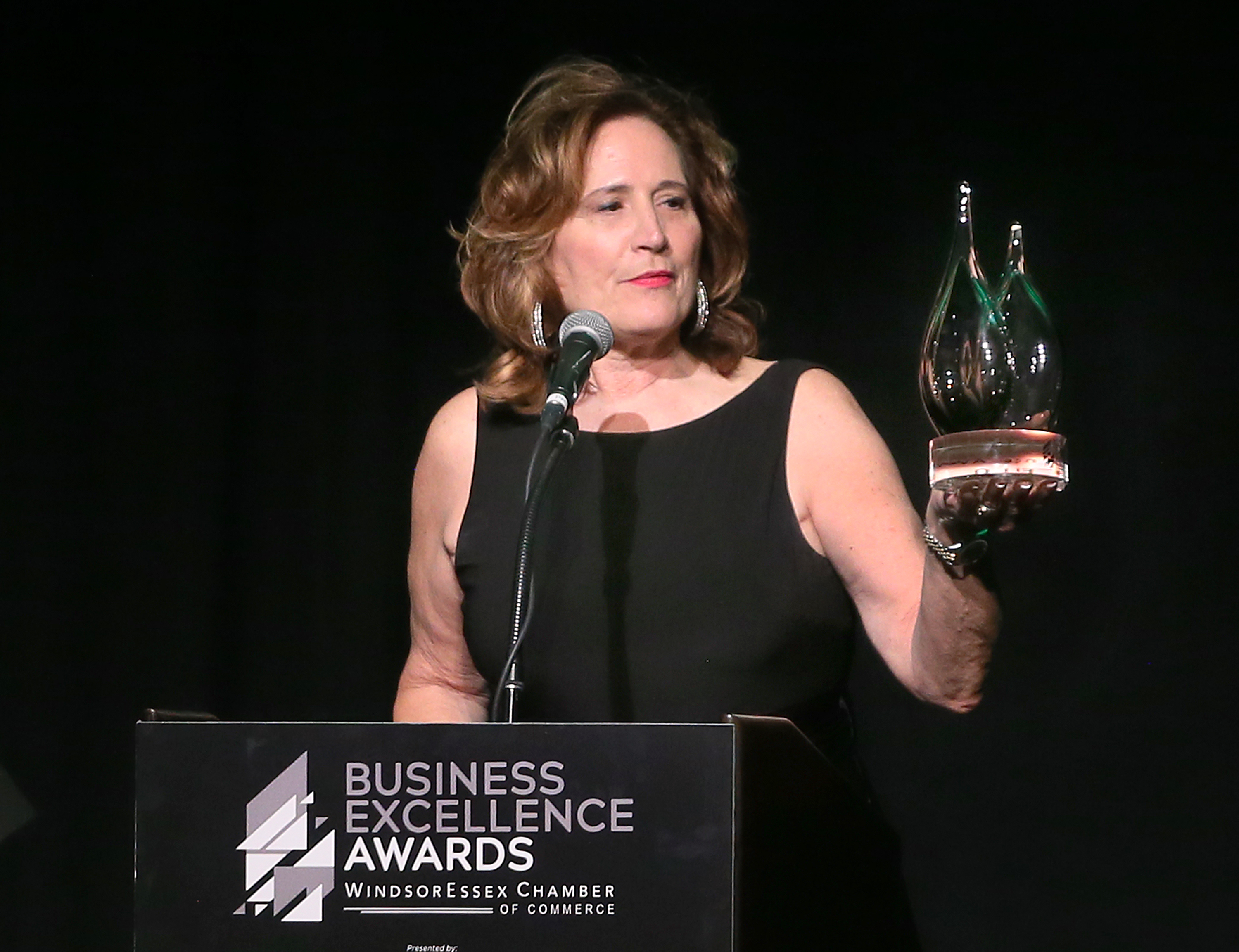 Lead by example — Windsor-Essex Business Excellence Awards honour ...