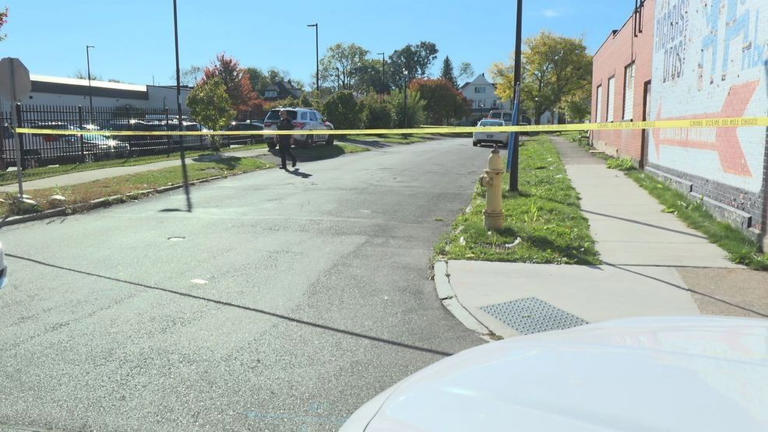 Man injured, dog killed in shooting on Rochester's west side
