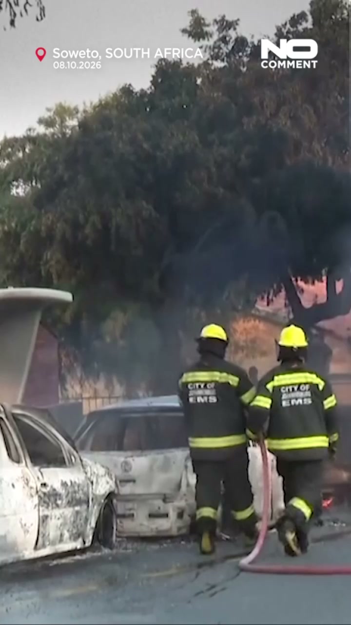 Cars burned and shops looted as anti-immigration protests rock South Africa