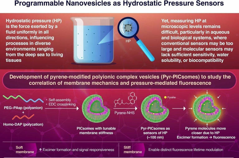 Adjustable nanosensors turn water pressure into fluorescent signals ...