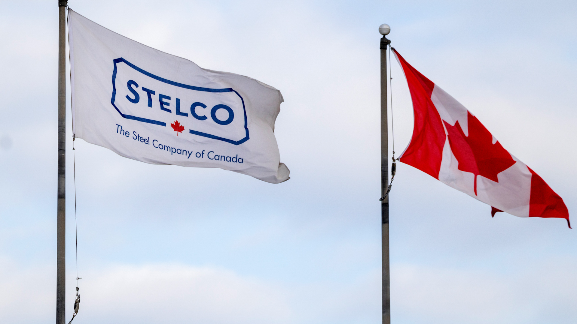 Poilievre calls on Ottawa to sue Stelco's owner