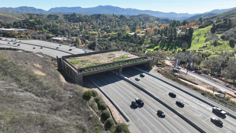 $114M SoCal wildlife crossing to track whether animals are happy with ...