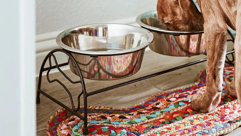 Nordstrom’s fair trade dog food mat is a colorful upgrade for your pup ...
