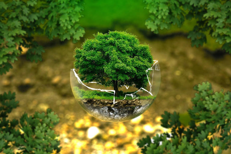 Climate change drives new species combinations, prompting calls to ...