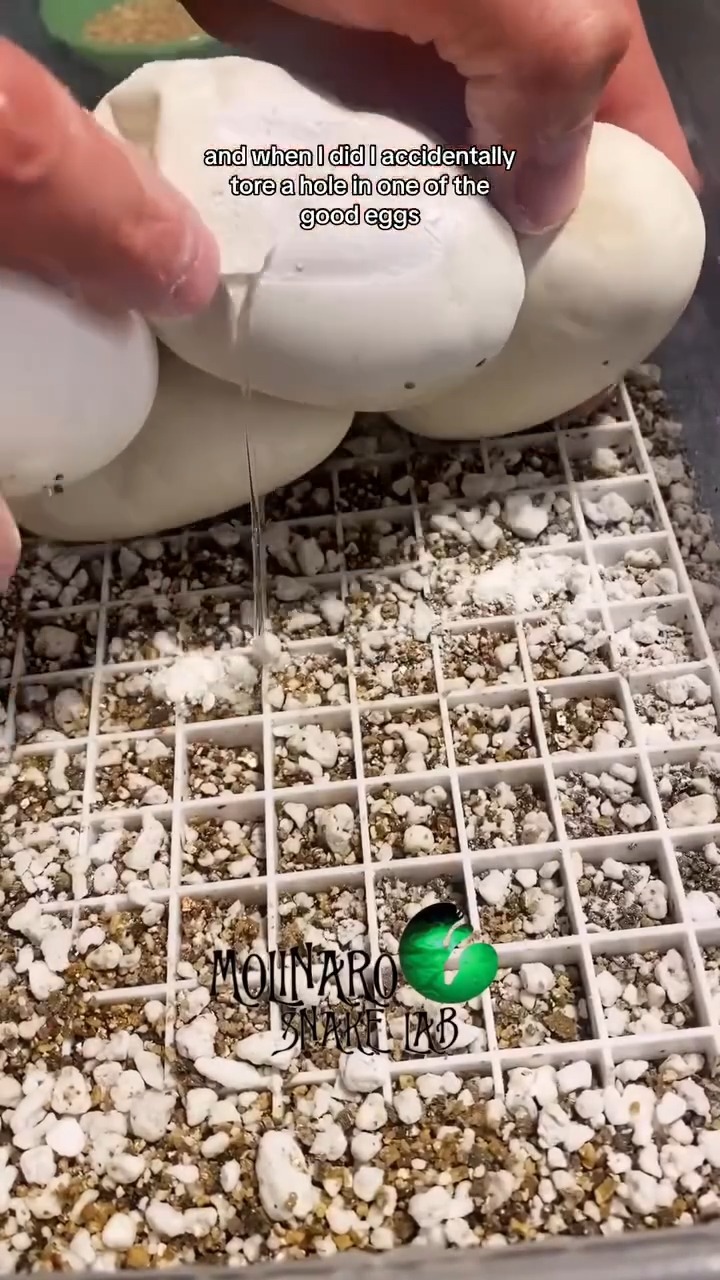 They are keeping me in suspense!
