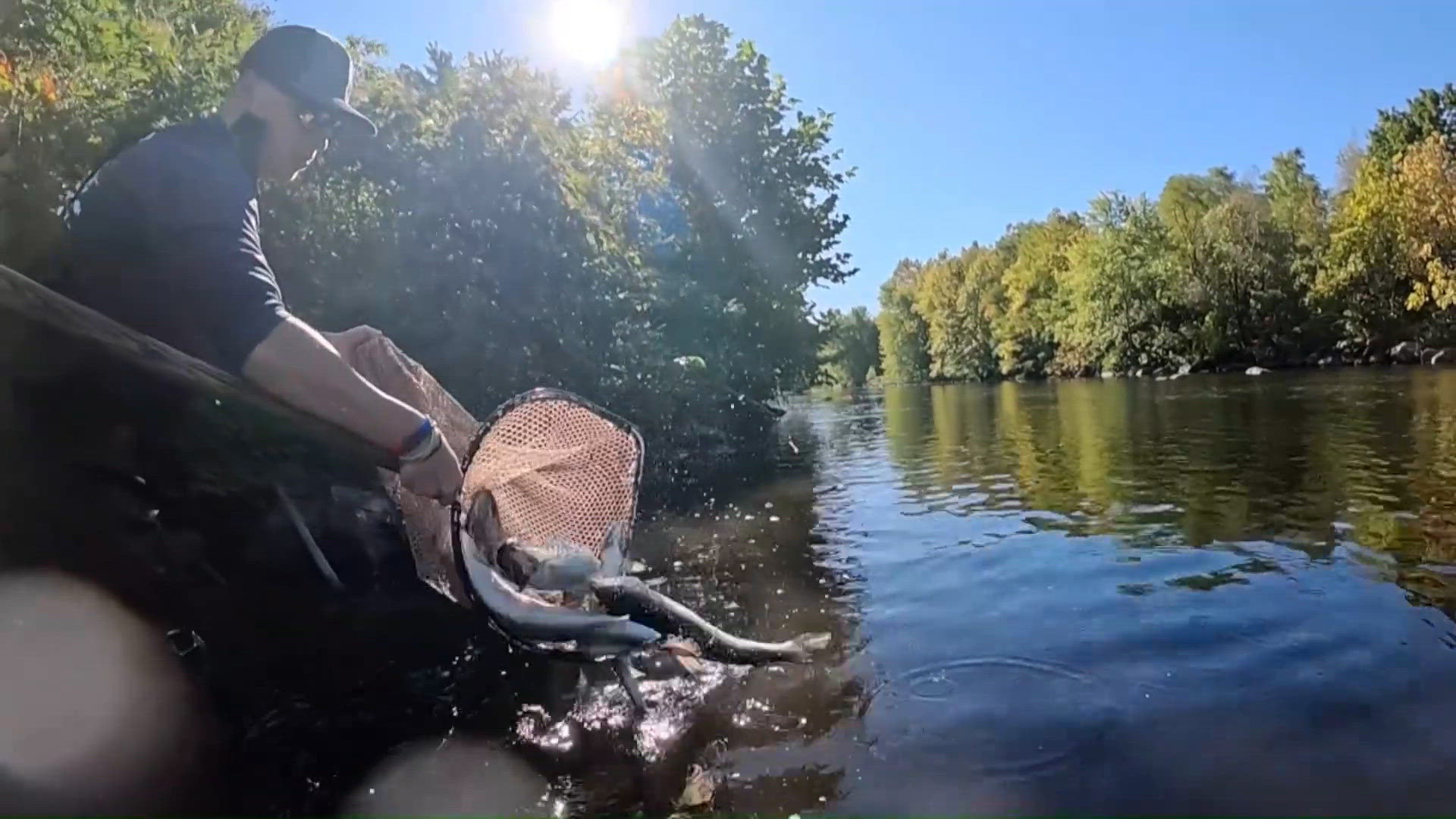 DEEP's fisheries division is stocking Connecticut's bodies of water ...