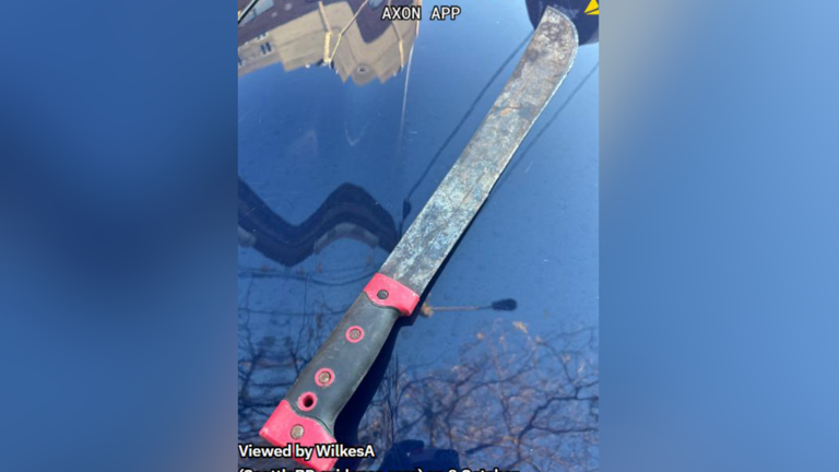 Man charged in Seattle's Hing Hay Park machete attack