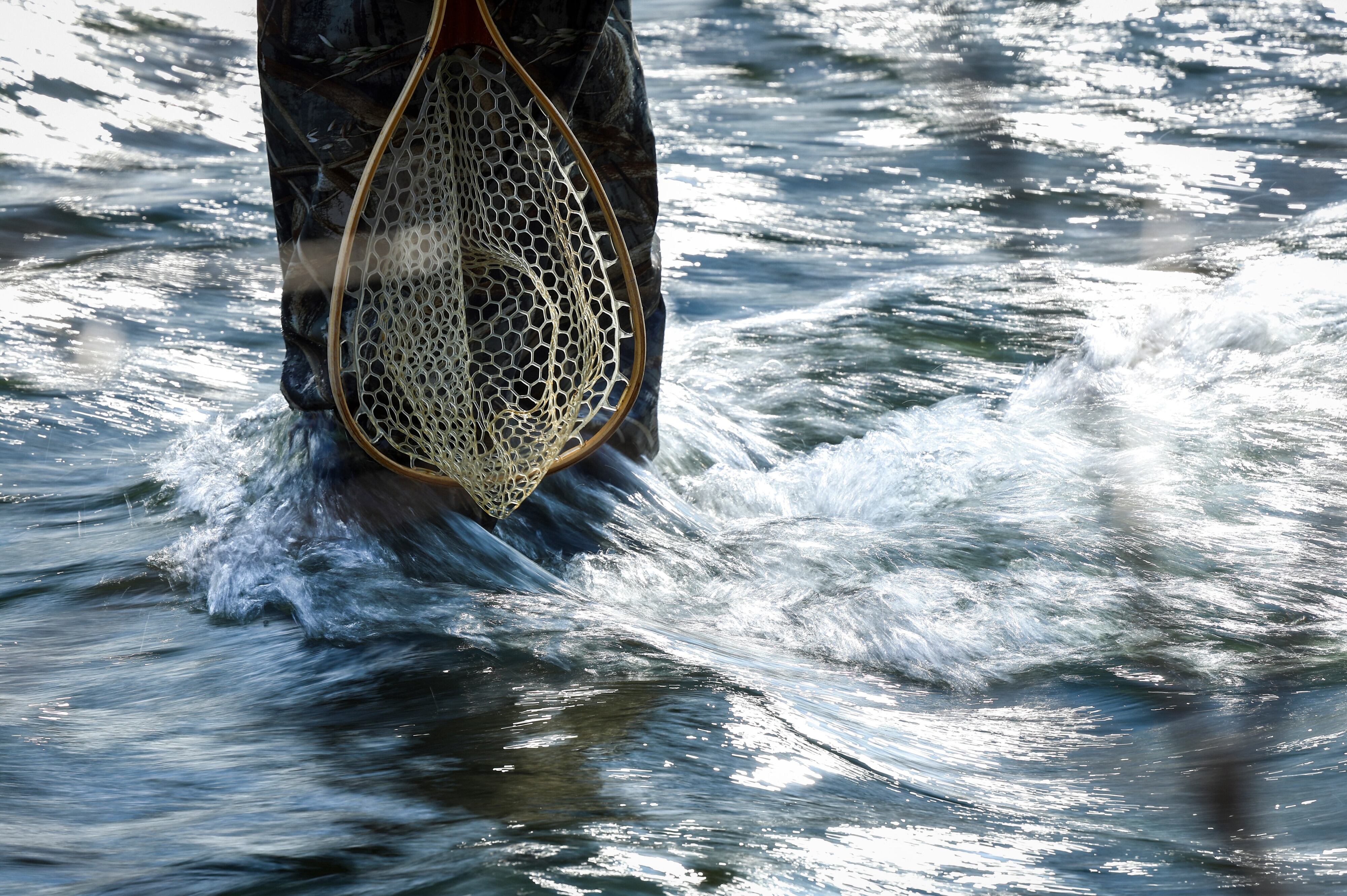 Do not eat advisory issued for all fish in southeastern Pa. creek basin