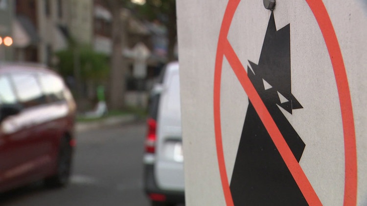 Teen boy accused of breaking into Northeast DC homes was on probation, prosecutors say