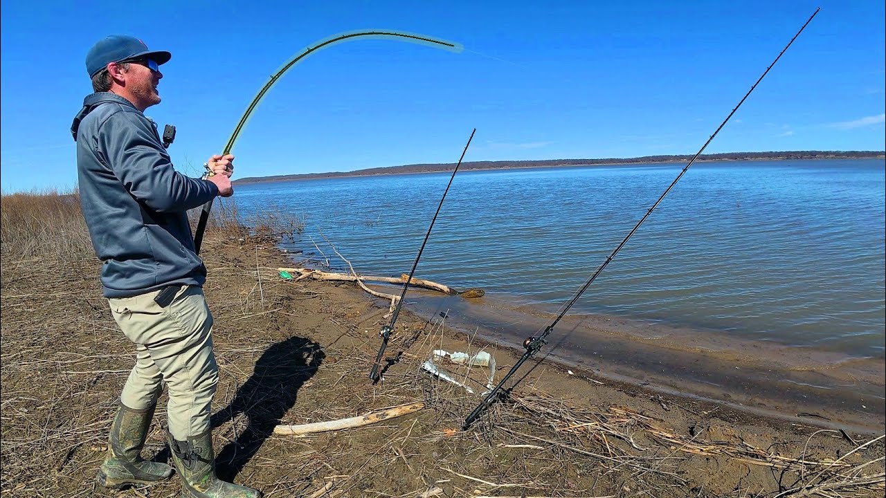 We found a shallow spot loaded with fish