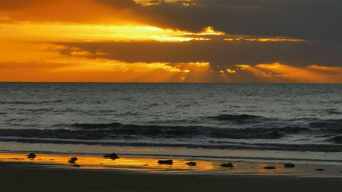 Far north bucks the trend with the rest of Queensland battling dry ...